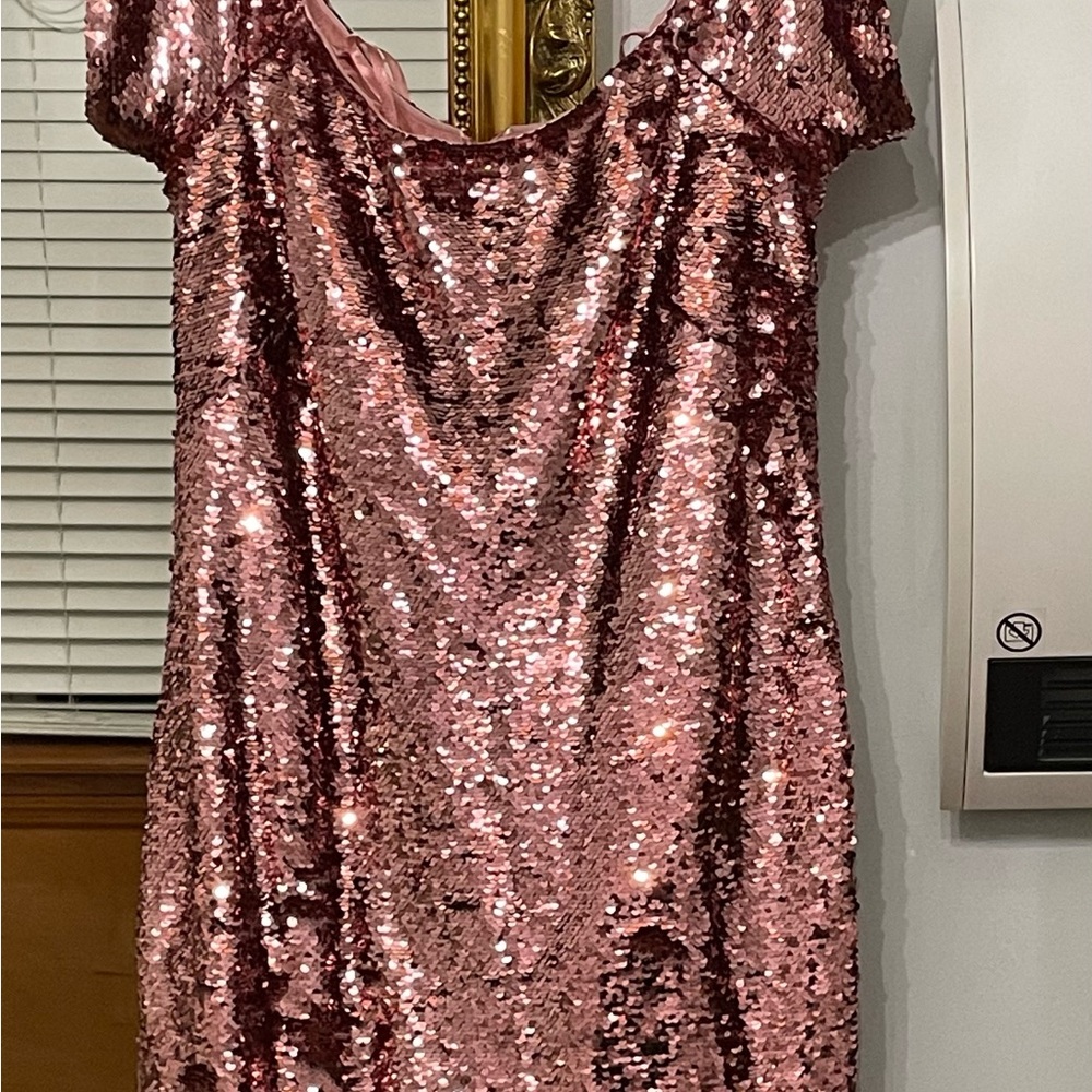 Aidan Mattox Blush Sequin Gown